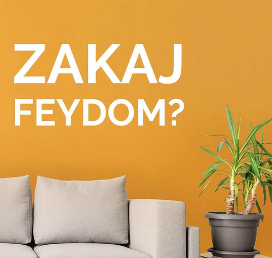 Zakaj FEYDOM